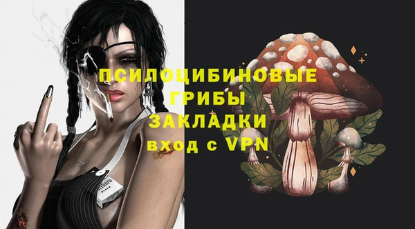 меф Бородино