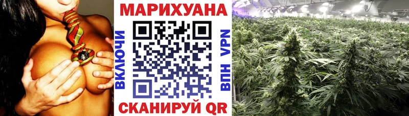 закладка Медынь Бошки Шишки план